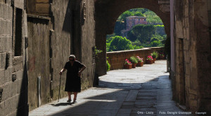 28 Maggio 2009 dall'Argentario a - ORTE- prov. Viterbo 062 copia