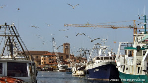 CHIOGGIA- 2