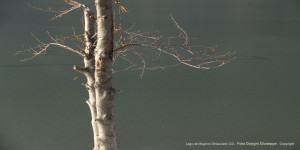 IMG_0489 copia